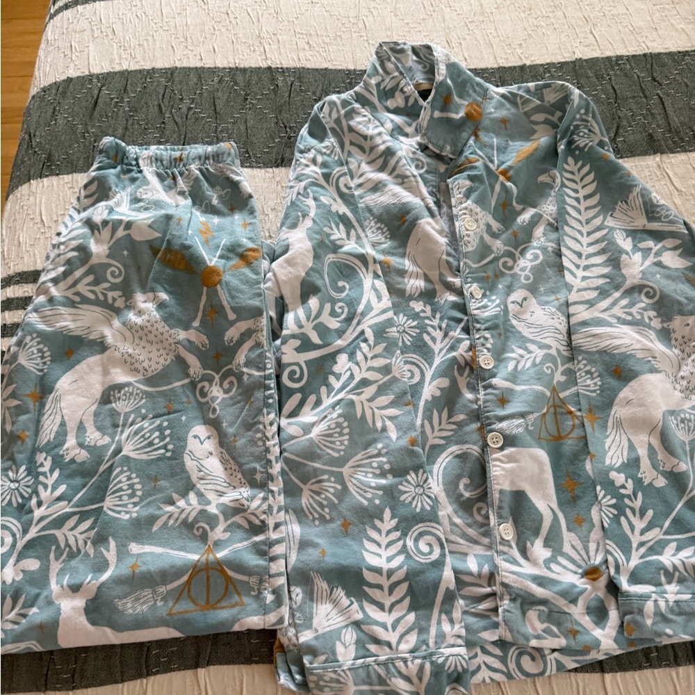 Organic Cotton Garment PJ from Pottery Barn teens sz L